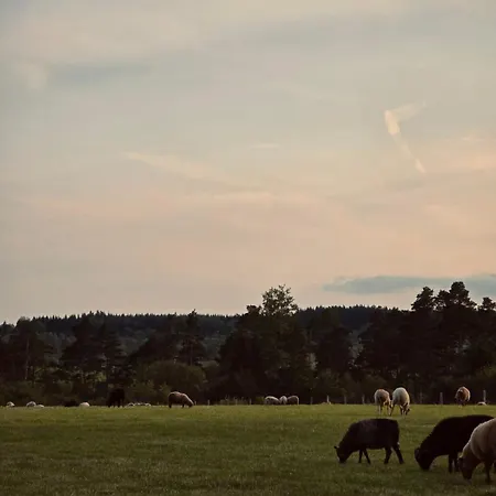 The Shepherd, A Charming Authentic Surrounded By Beautiful Countryside * Вьельсальм
