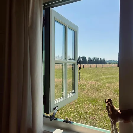 The Shepherd, A Charming Authentic Surrounded By Beautiful Countryside 度假居